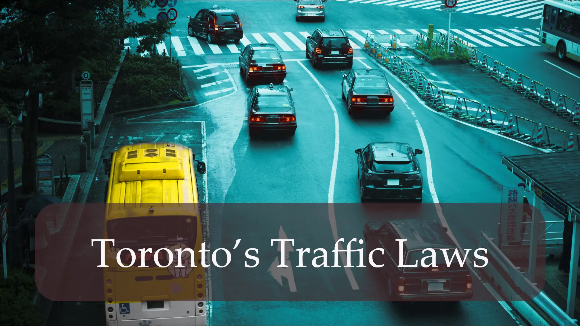 Torontos Traffic Laws guide